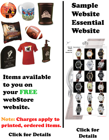 Website Essential Website & webStore